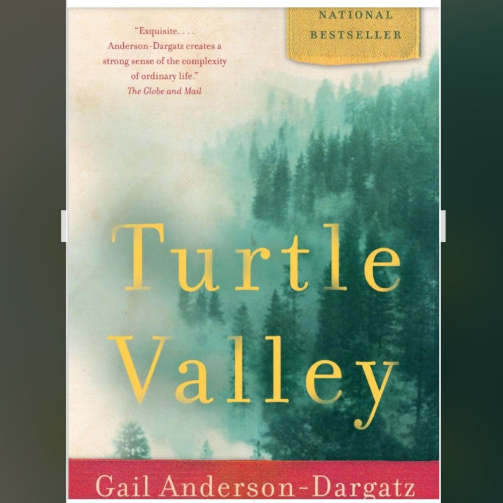 4/$30 Bundle; Novel “Turtle Valley” by Gail Anderson-Dargatz